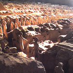 bingmayong