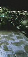 Chamber of Secrets