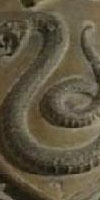 Slytherin Coat of Arms