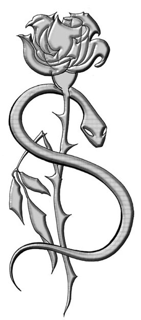 A Rose and a Snake by Heid