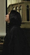 The Profile