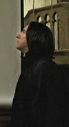 The Profile