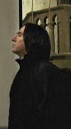 The Profile