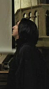 The Profile