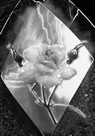 Rose and Glass by Kuzia