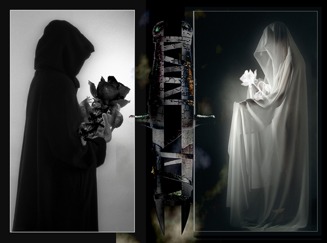 The Rose by Ssis
