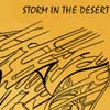 Desrt Storm