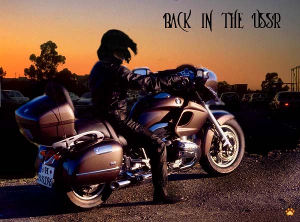 Severus Snape on the BMW Bike