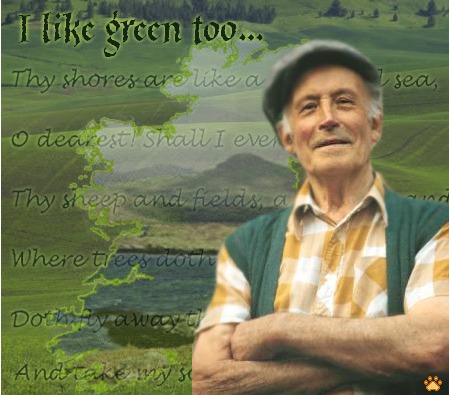 Gwyll O'Reilly