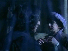 Severus Snape and Professor Quirrell bearing Lord Voldemort