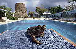 � ���, �������, � ����!