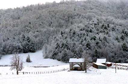 Snow