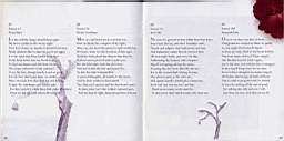 to the page