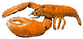 �����-�
