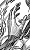 Hands