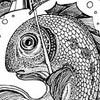 Fish-��